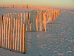 christmas-on-the-beach-in-florida-1382150-1280x960